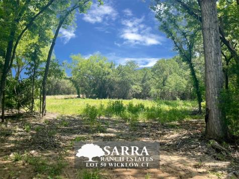 Lot 50 Wicklow Court Poolville TX 76487