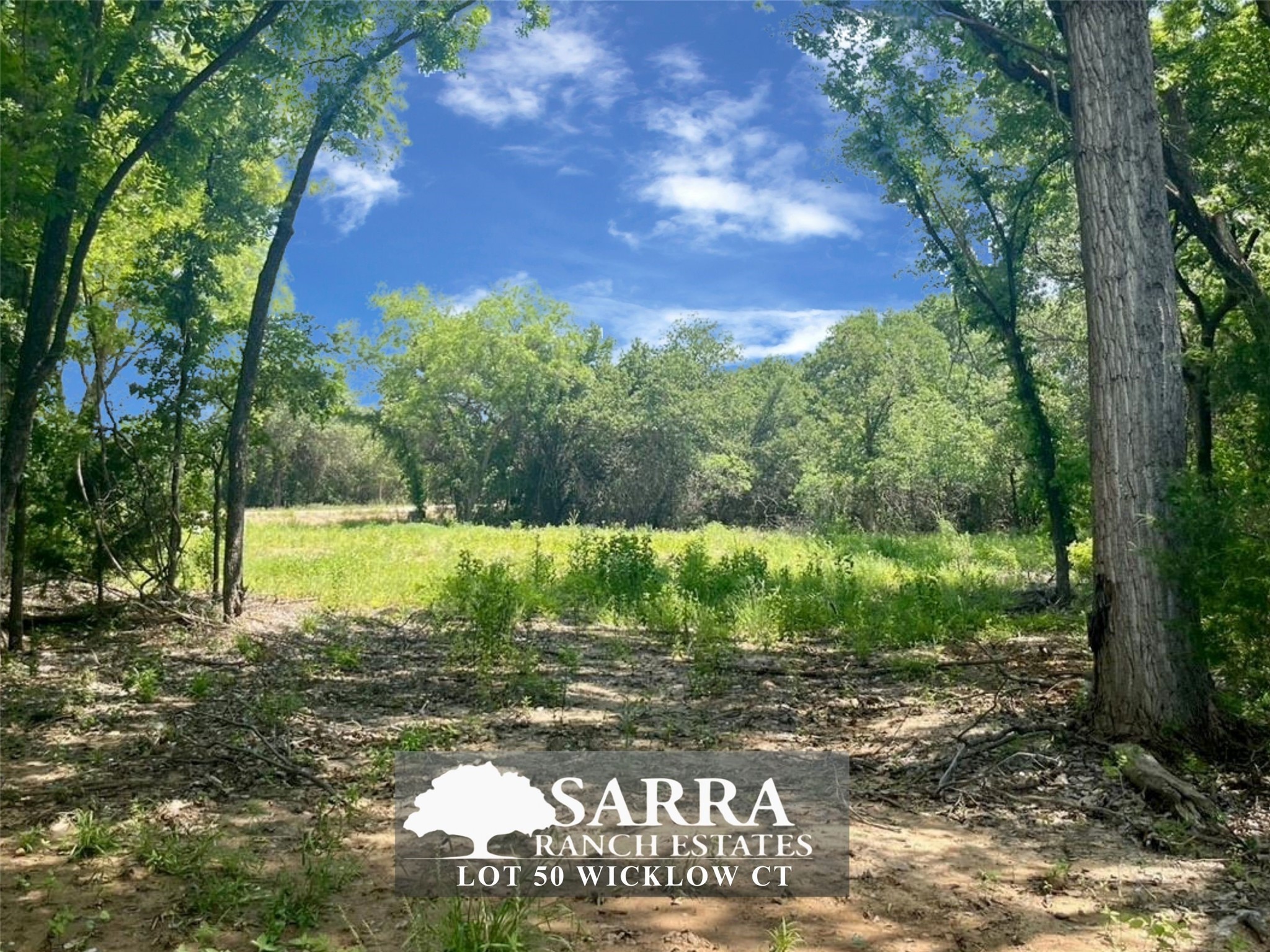 Lot 50 Wicklow Court Poolville TX 76487