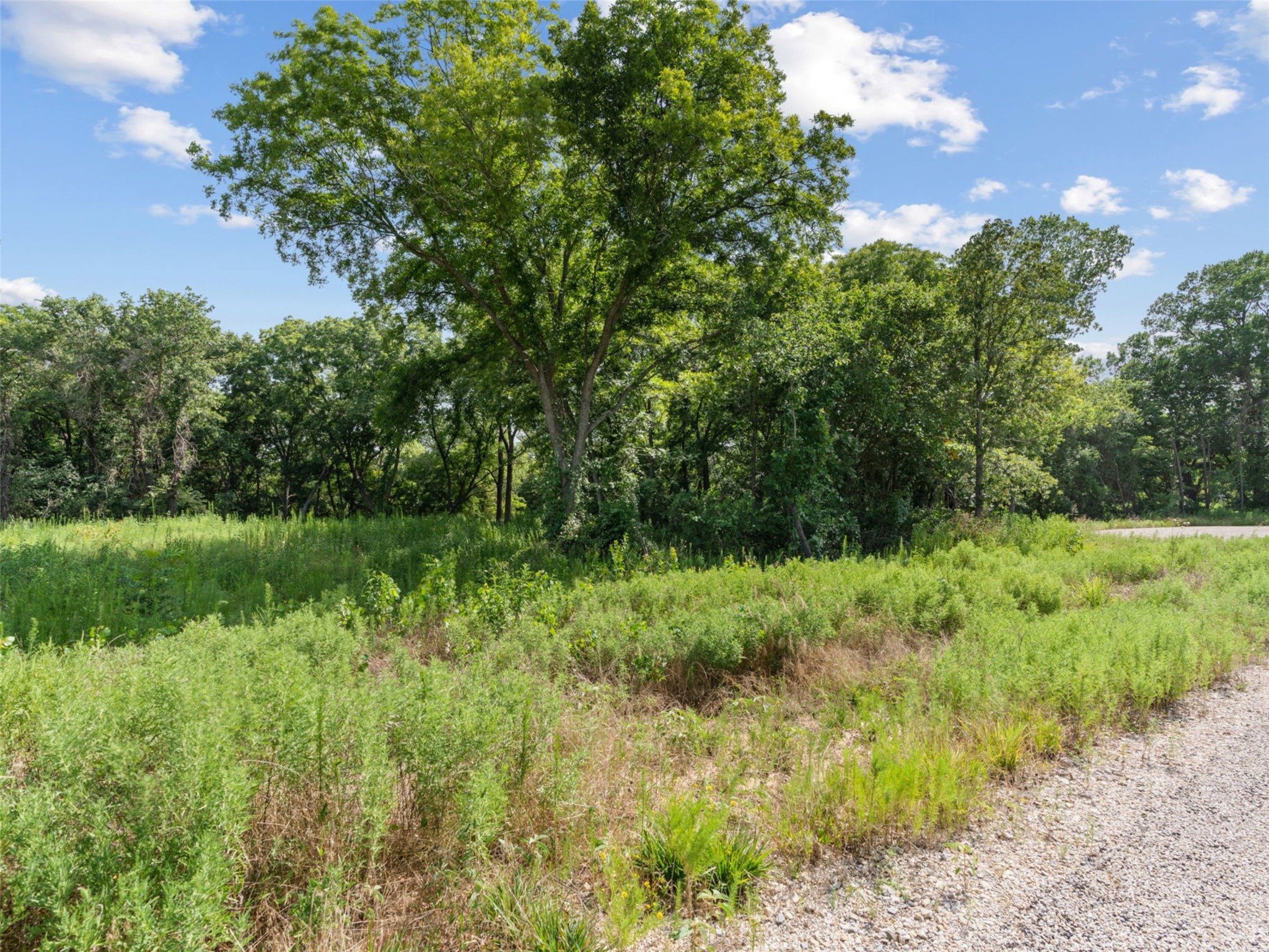 Lot 50 Wicklow Court Poolville TX 76487