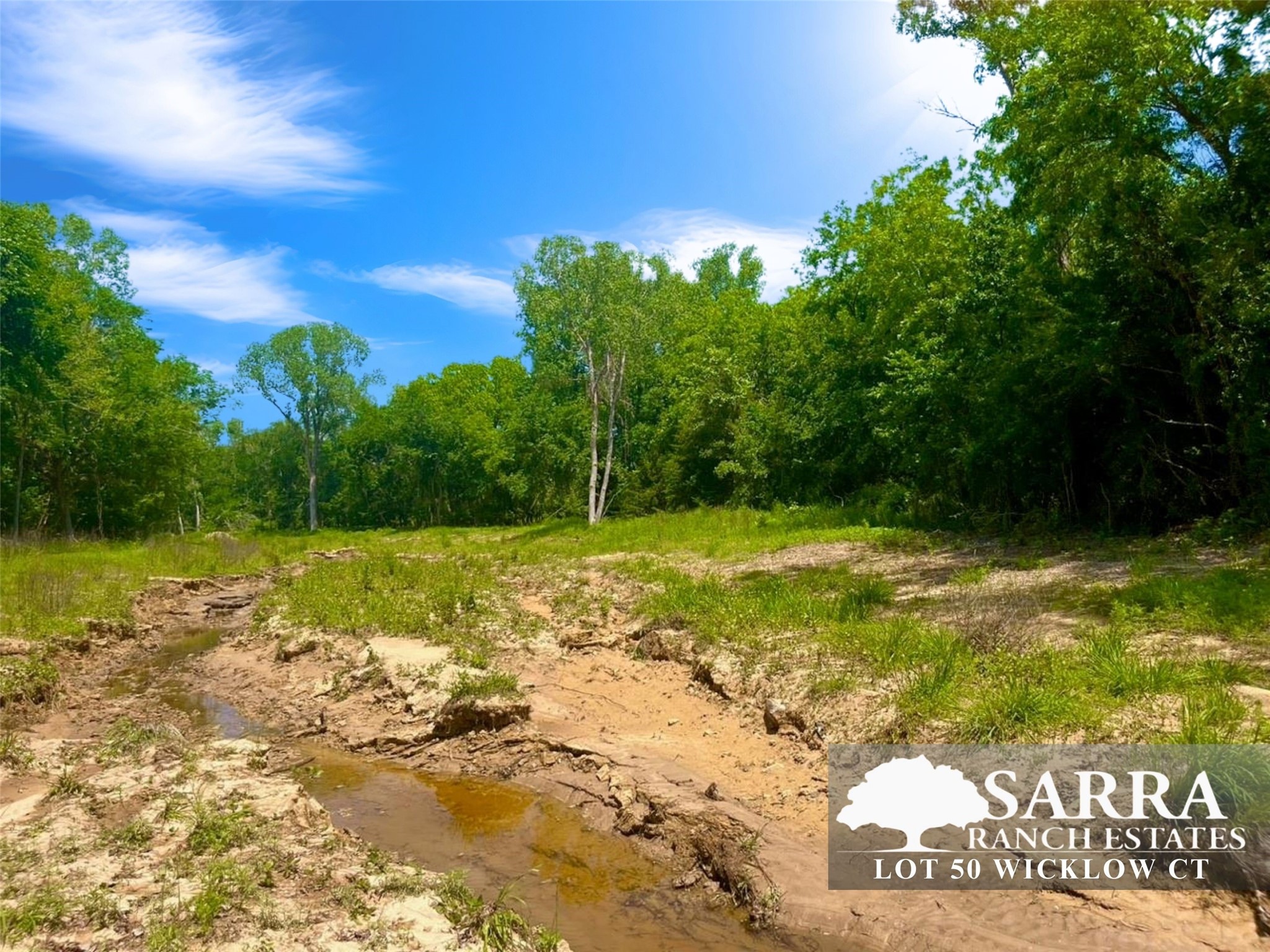 Lot 50 Wicklow Court Poolville TX 76487