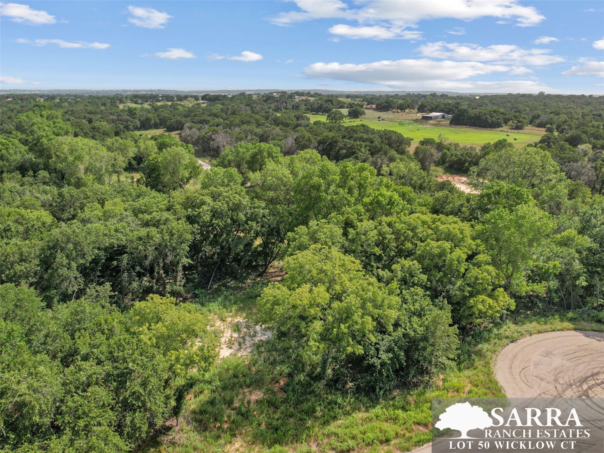 Lot 50 Wicklow Court Poolville TX 76487