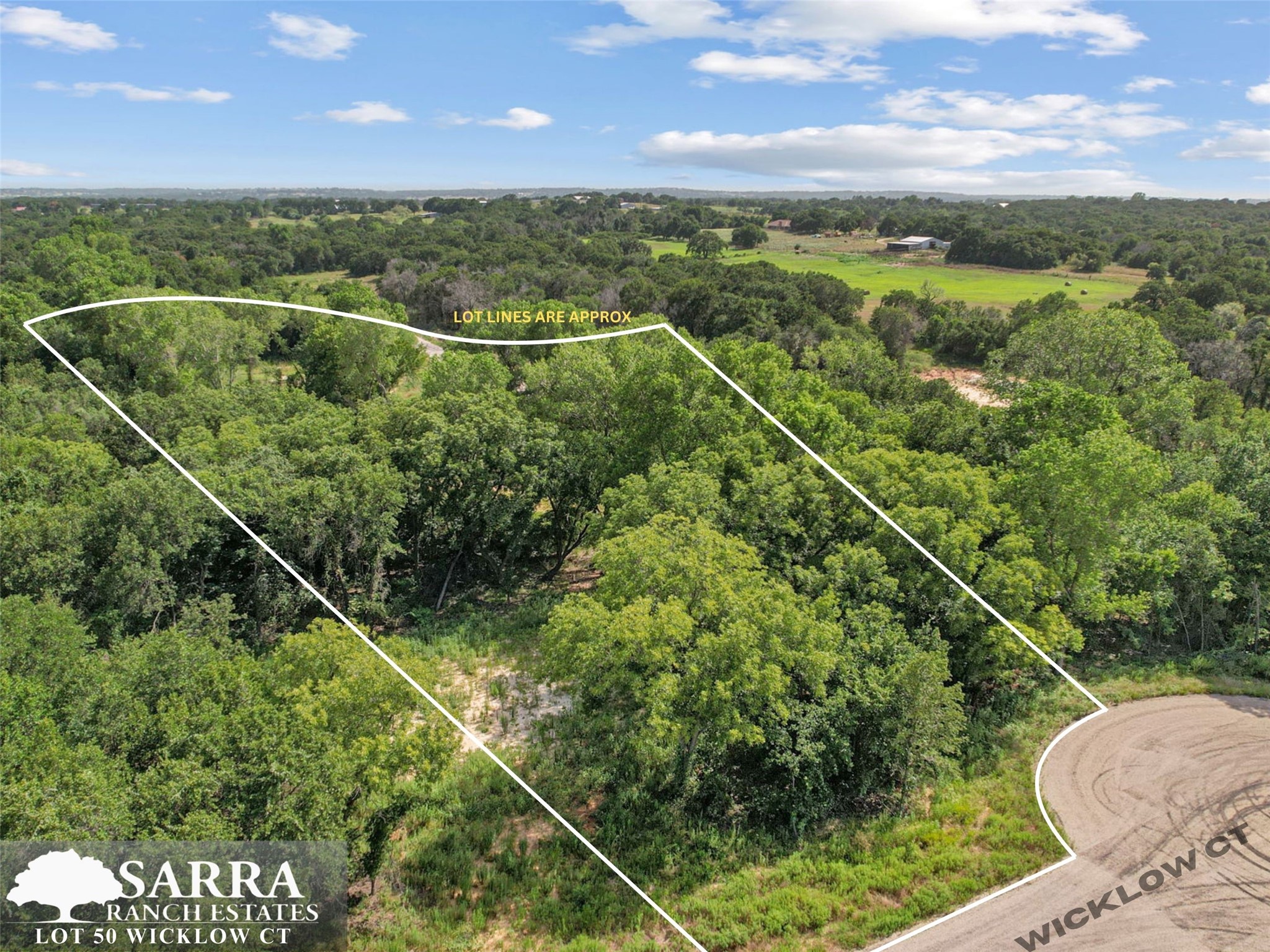 Lot 50 Wicklow Court Poolville TX 76487