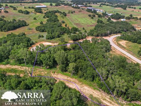 Lot 50 Wicklow Court Poolville TX 76487