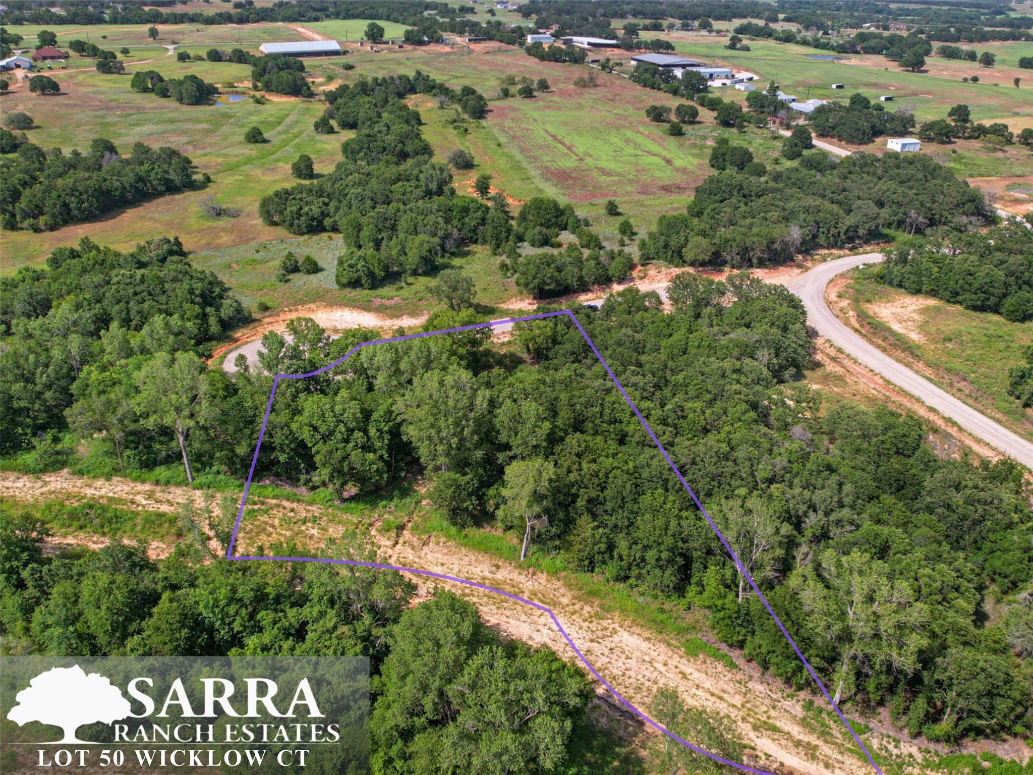 Lot 50 Wicklow Court Poolville TX 76487