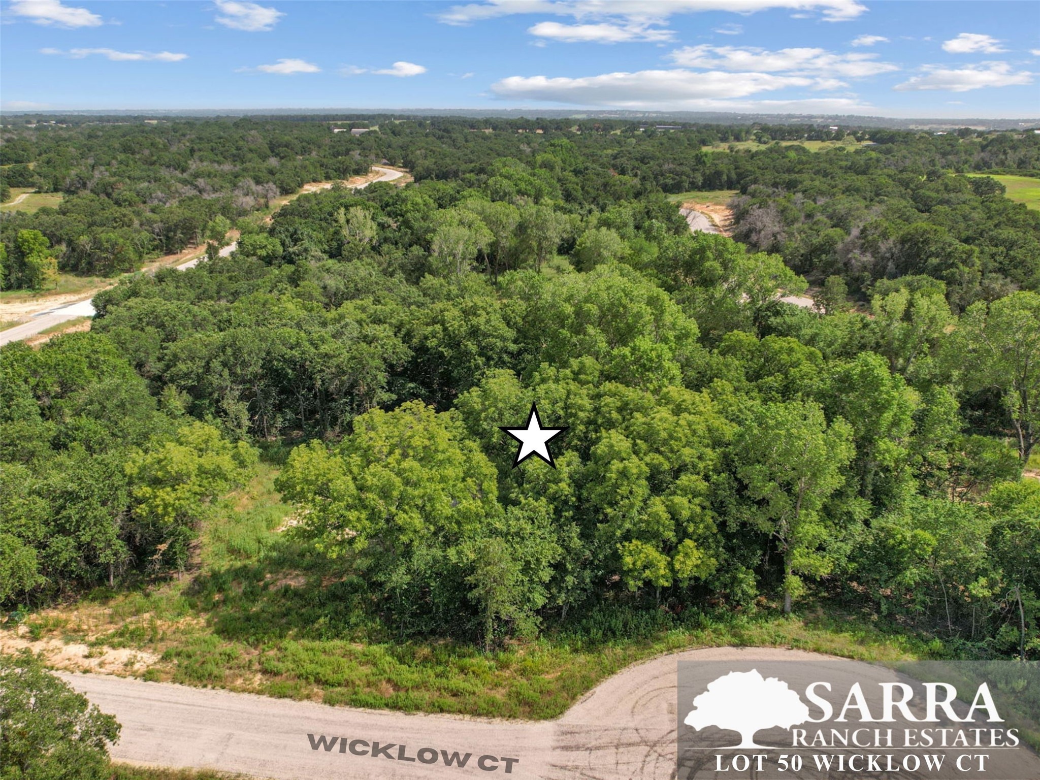 Lot 50 Wicklow Court Poolville TX 76487