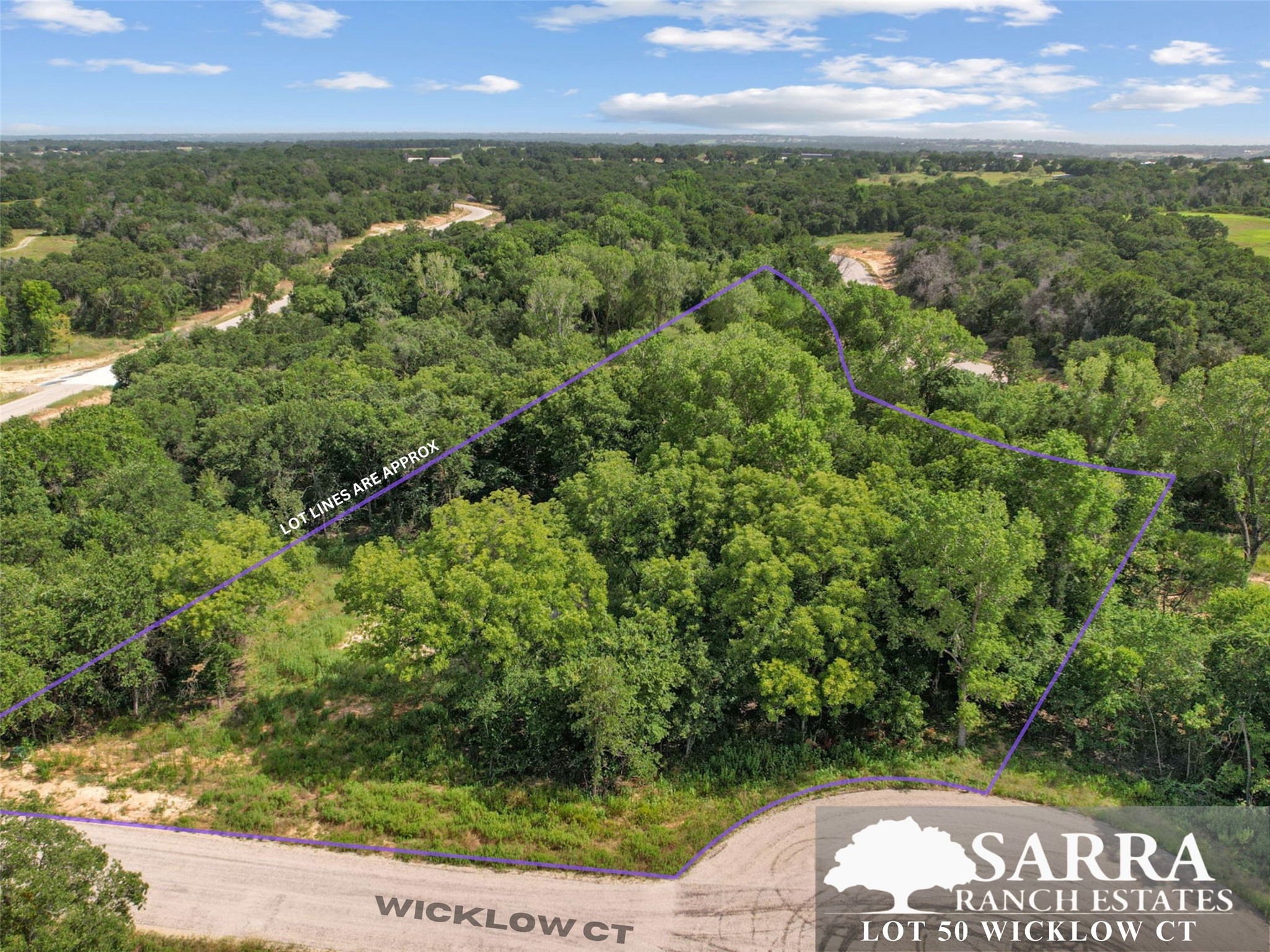 Lot 50 Wicklow Court Poolville TX 76487