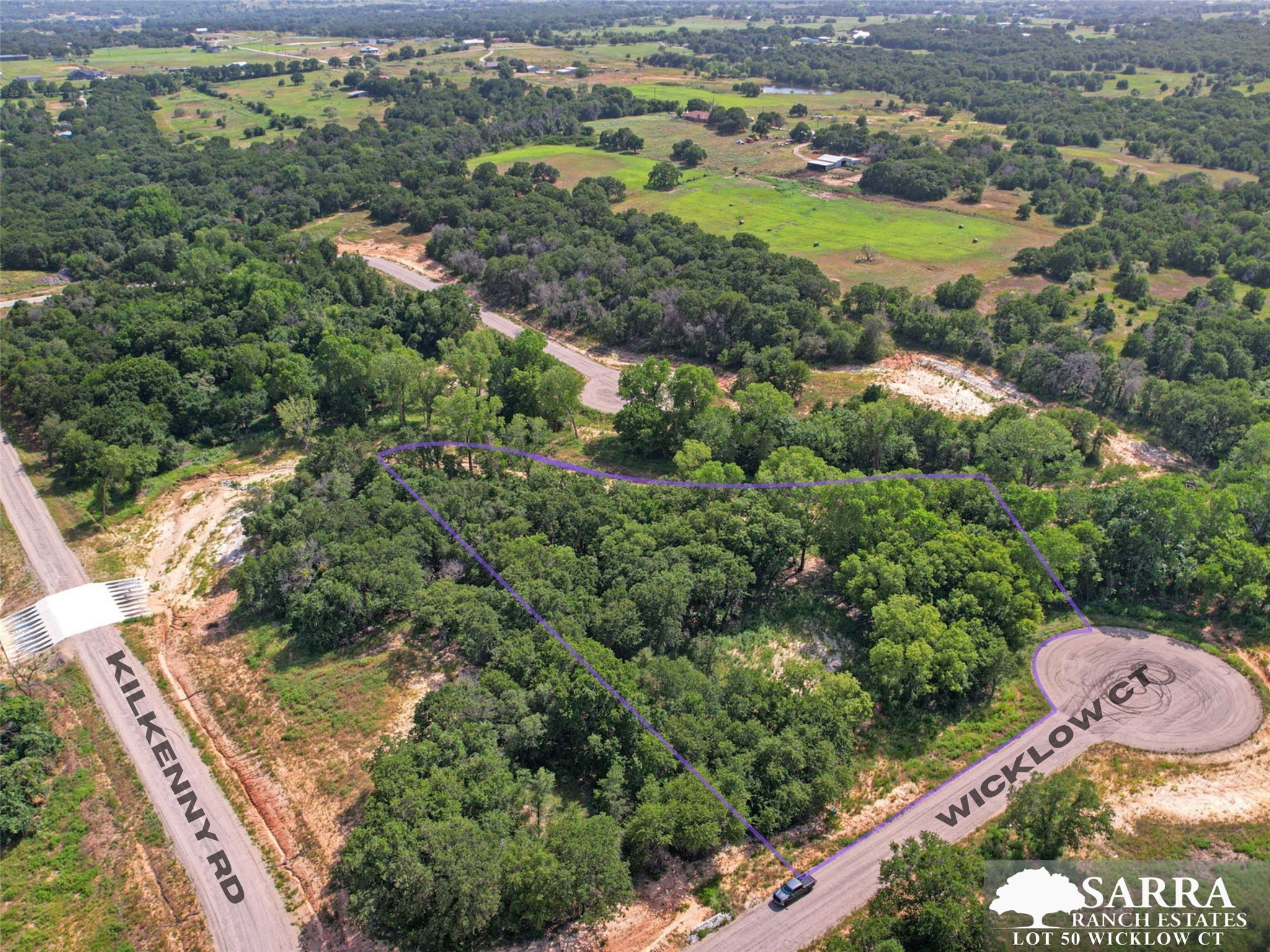Lot 50 Wicklow Court Poolville TX 76487