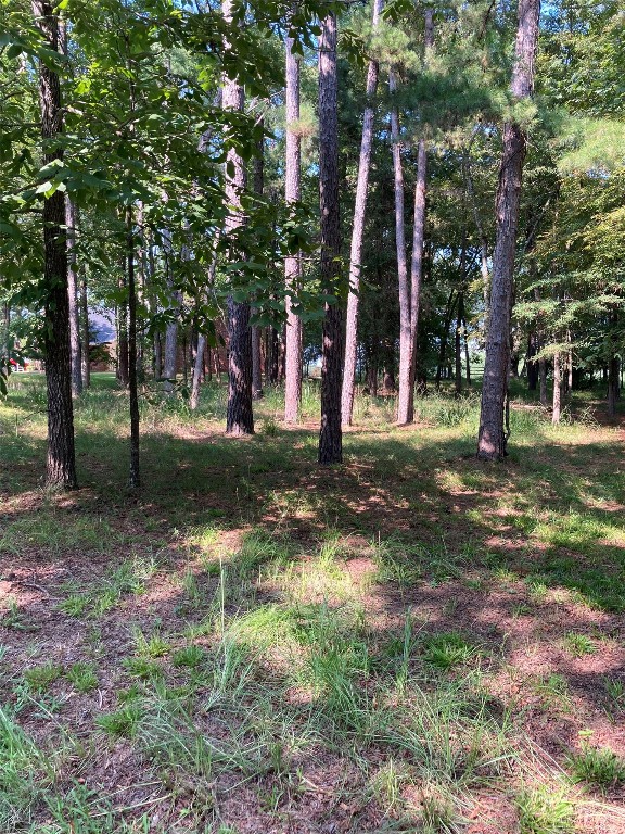 17757 Sunrise Lane Arp TX 75750
