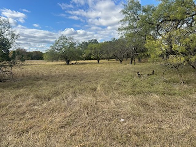 19099 White Bluff Drive Whitney TX 76692