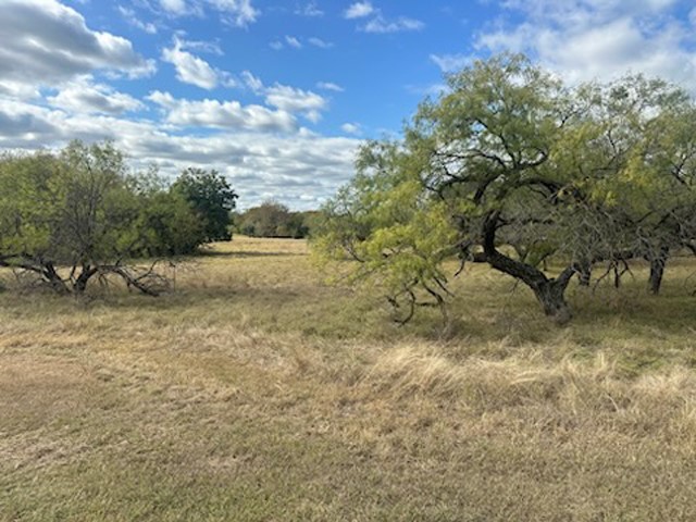 19099 White Bluff Drive Whitney TX 76692