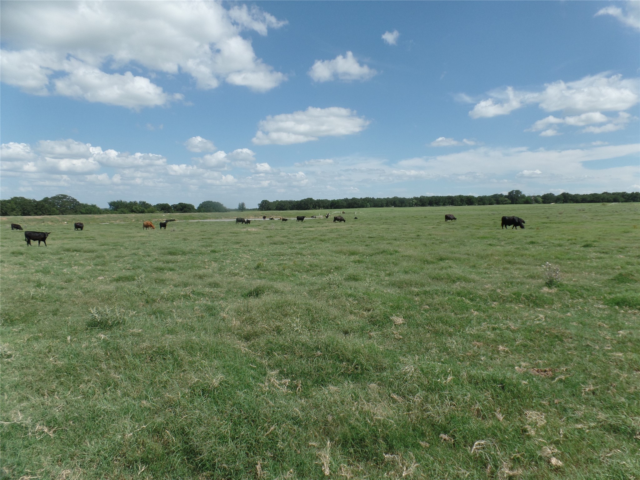 Tbd Fm 3025 Stephenville TX 76401