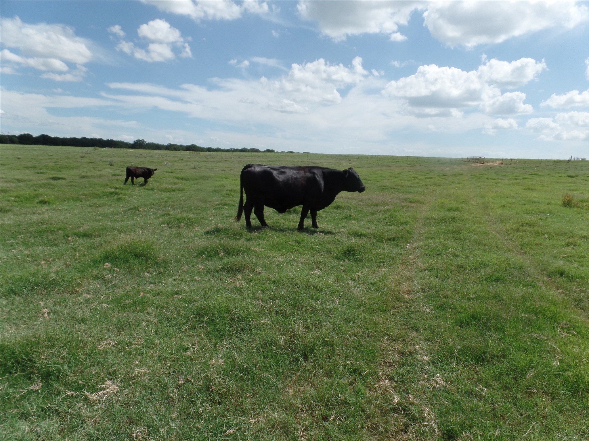 Tbd Fm 3025 Stephenville TX 76401