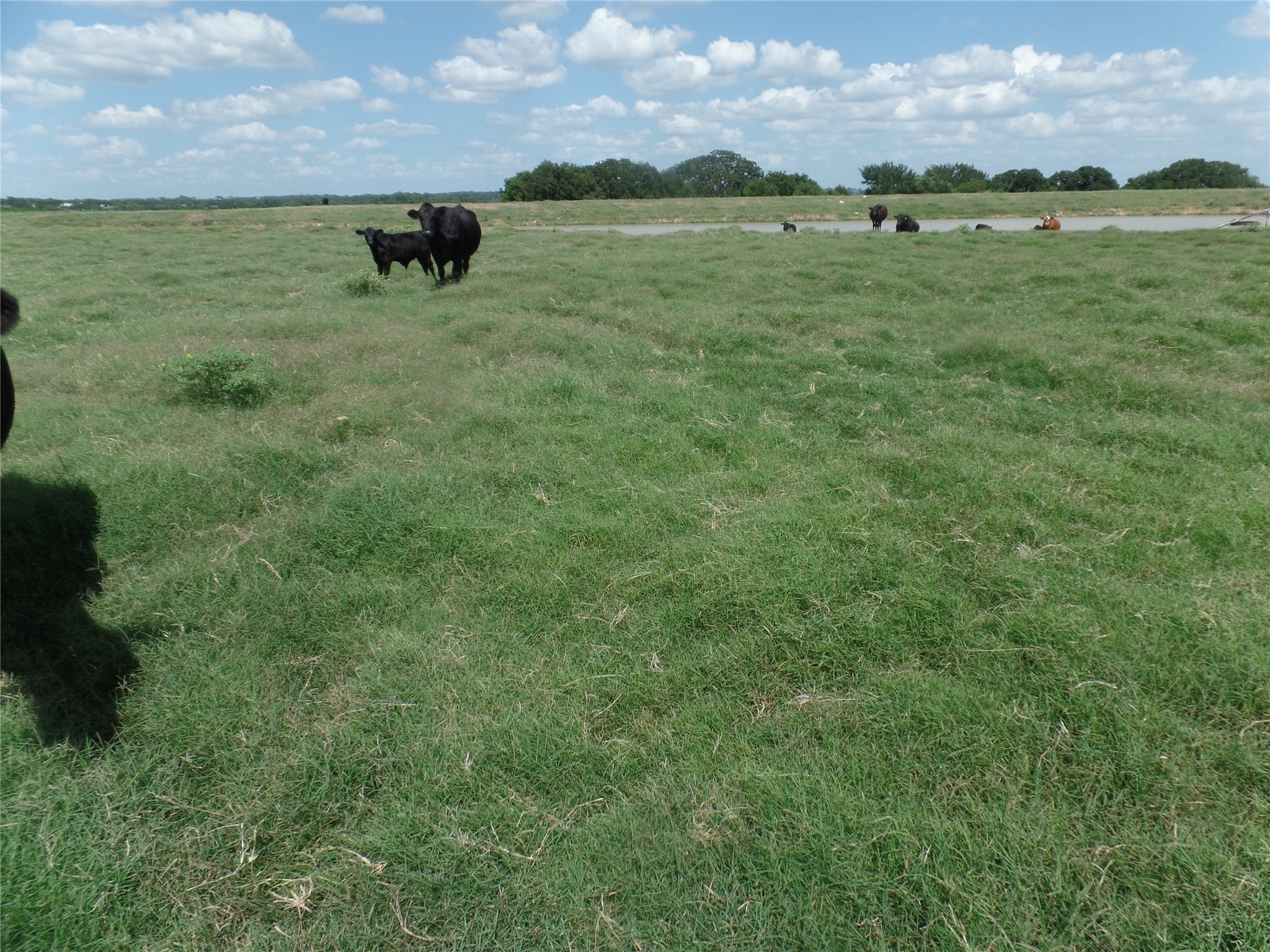 Tbd Fm 3025 Stephenville TX 76401