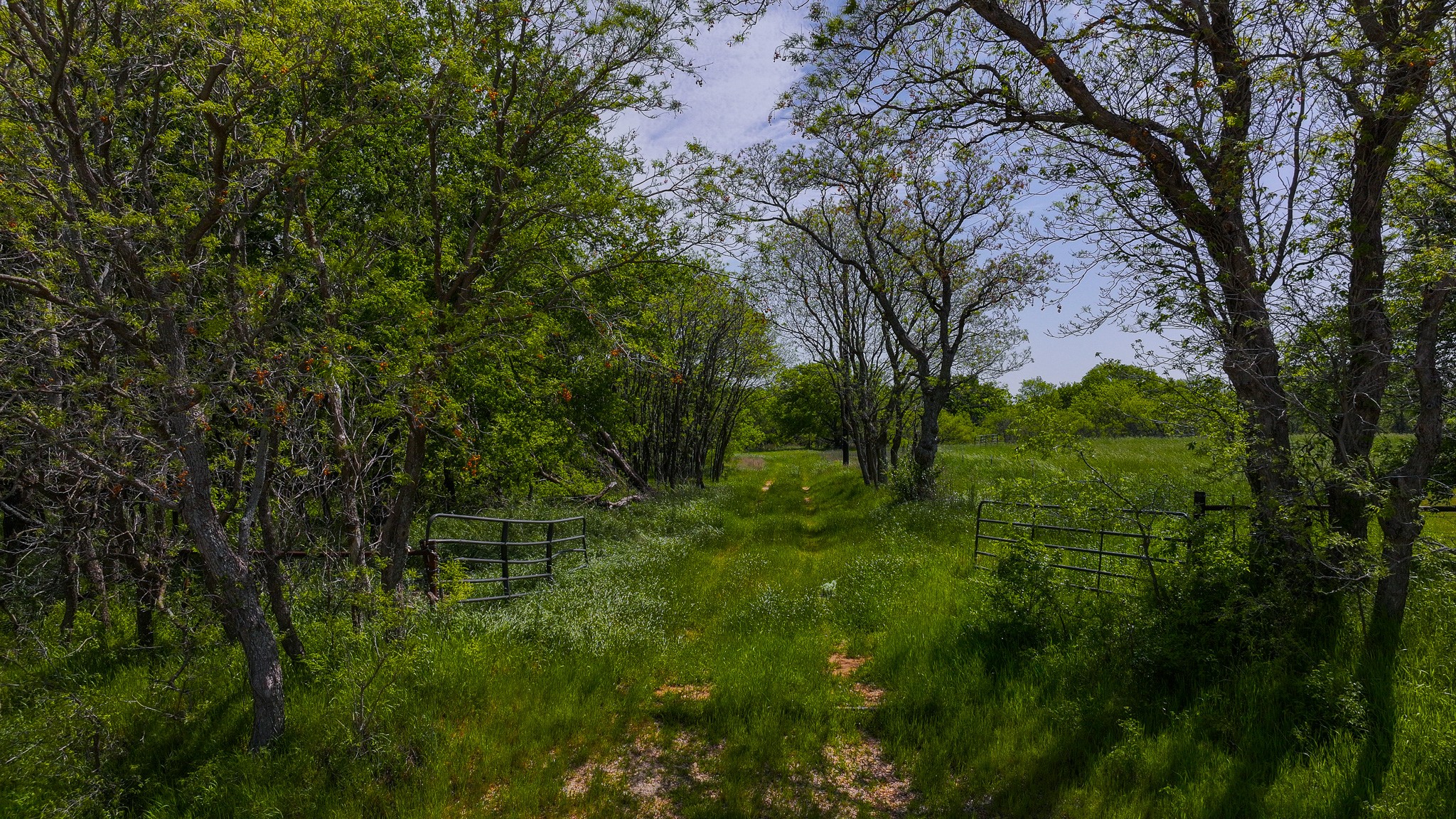 Tract 2 Rock Springs School Road Montague TX 76251