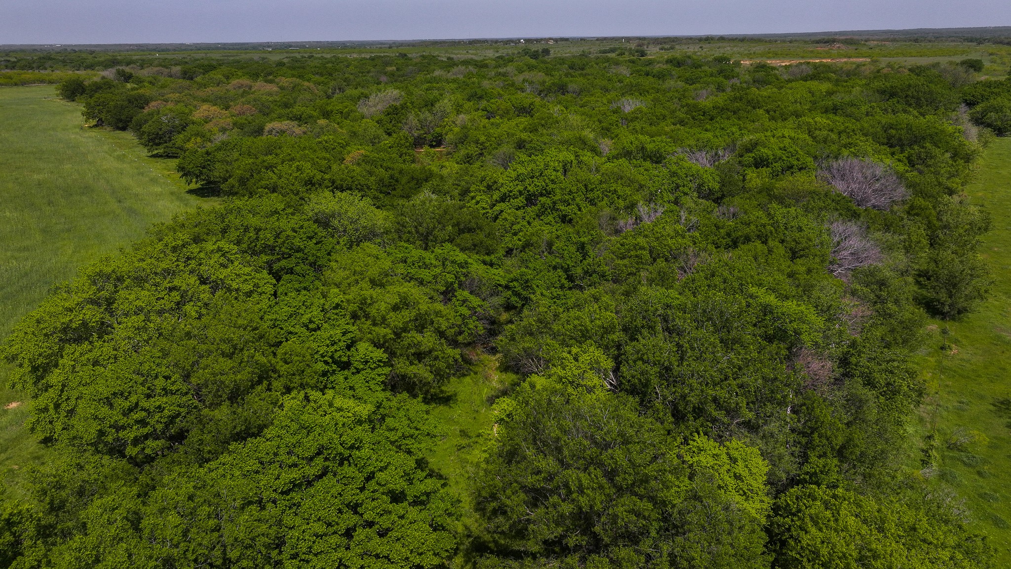Tract 2 Rock Springs School Road Montague TX 76251