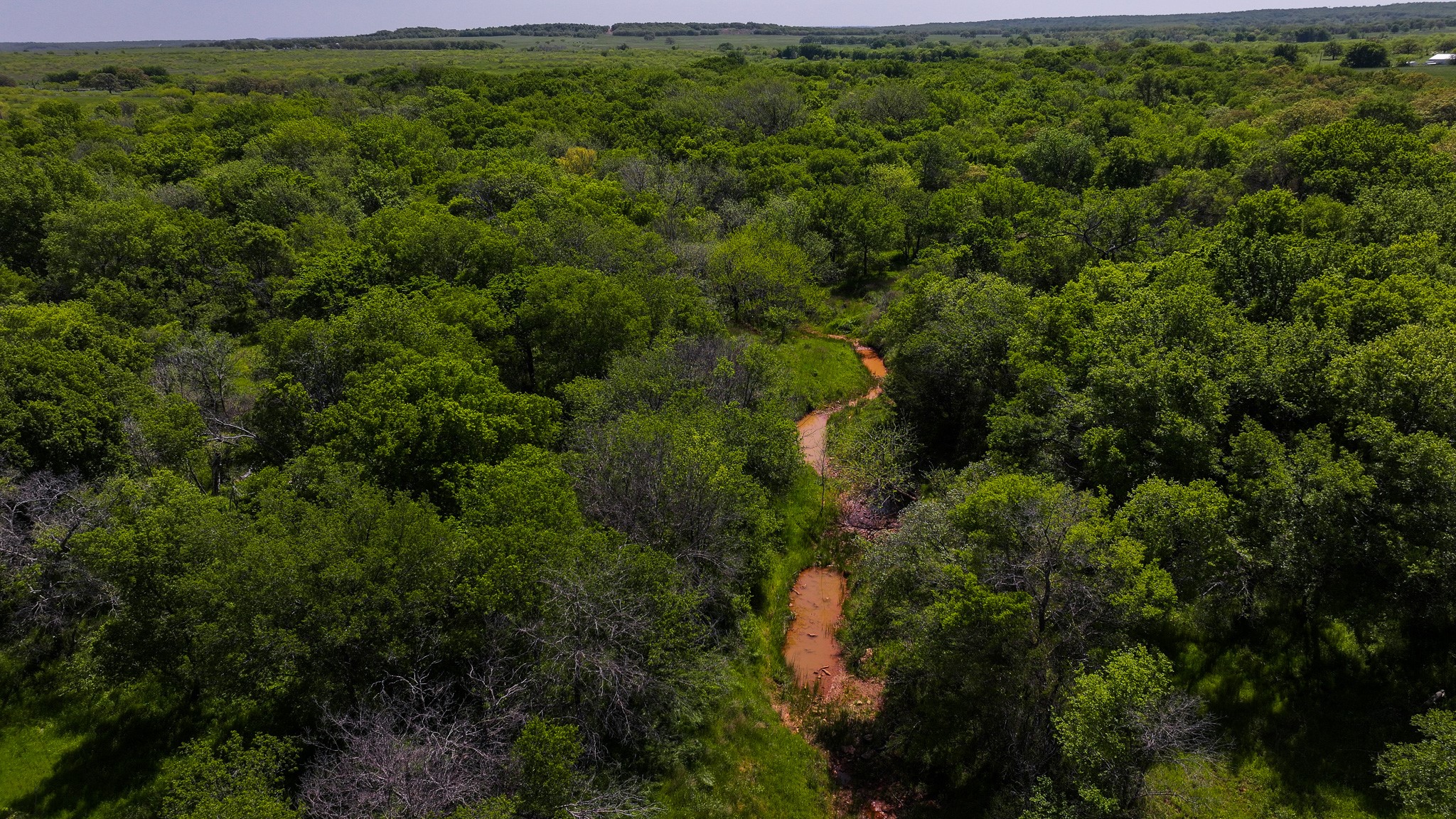 Tract 2 Rock Springs School Road Montague TX 76251