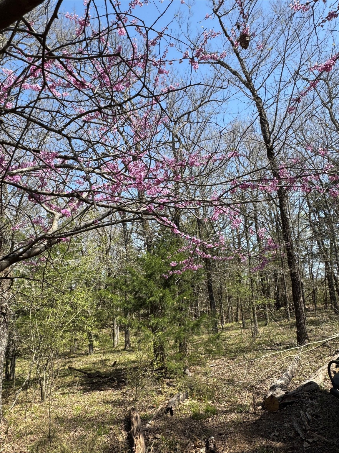 0000 Fm 1752 Savoy TX 75479