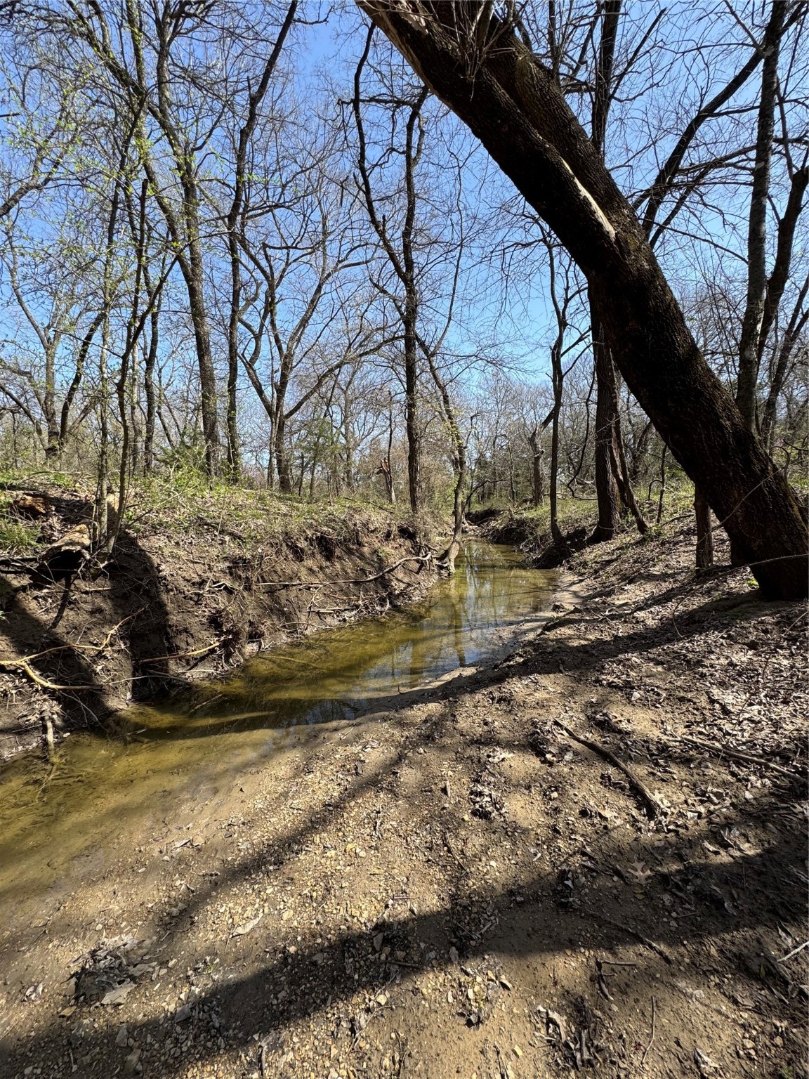 0000 Fm 1752 Savoy TX 75479