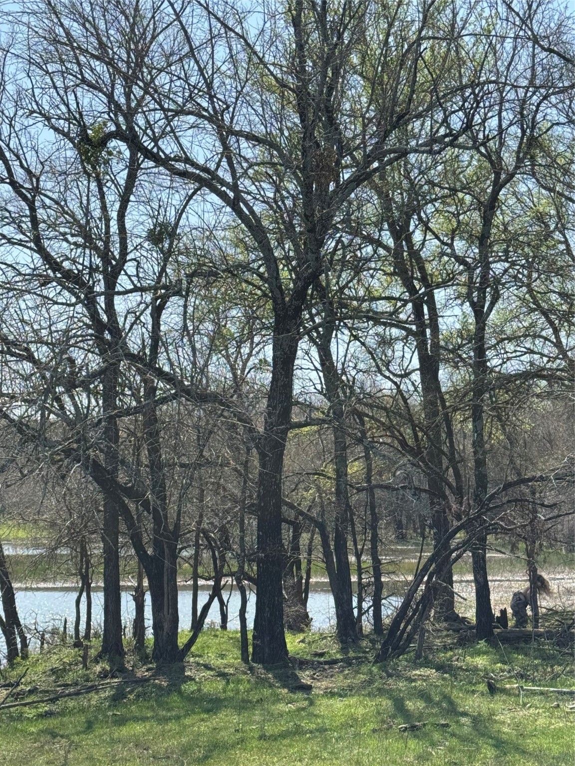 0000 Fm 1752 Savoy TX 75479