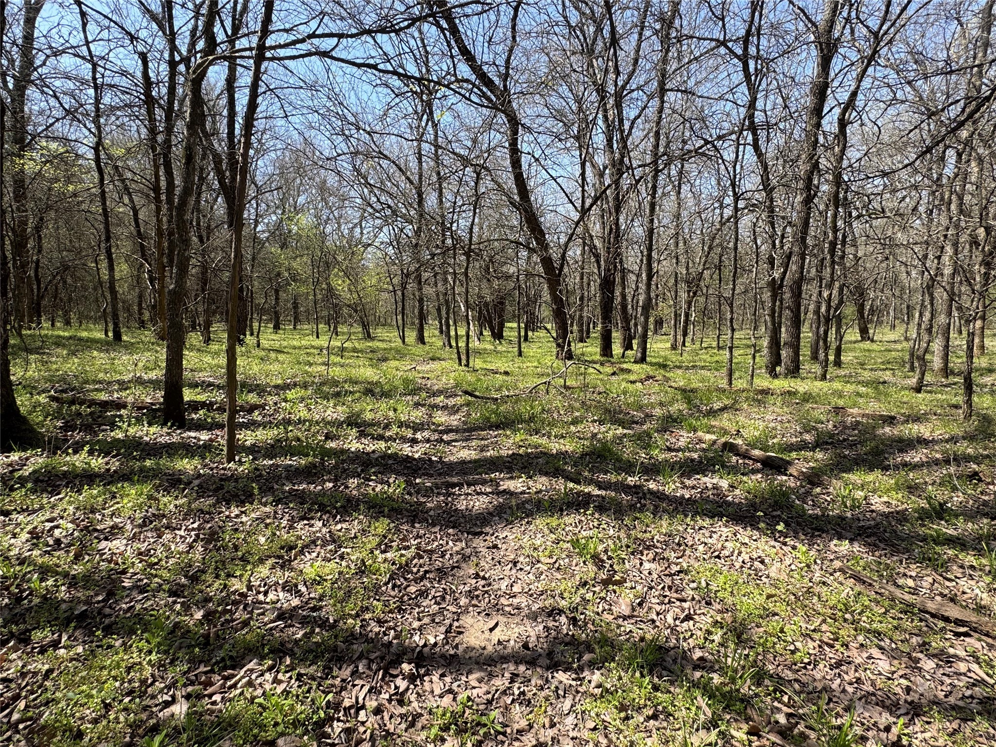 0000 Fm 1752 Savoy TX 75479