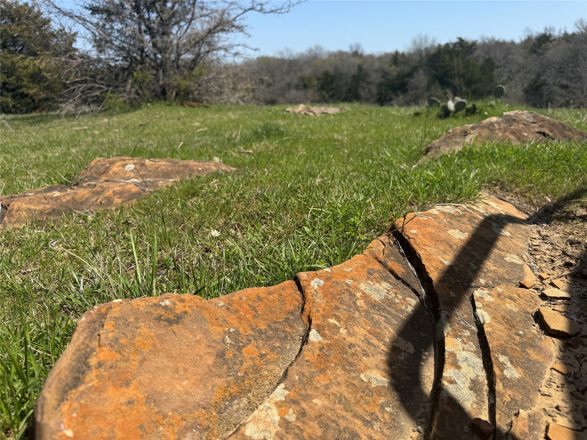 0000 Fm 1752 Savoy TX 75479