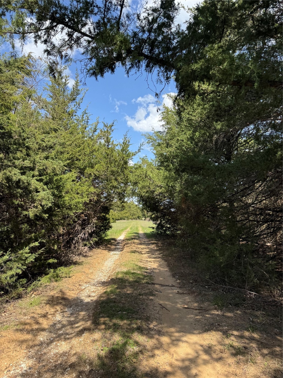 0000 Fm 1752 Savoy TX 75479