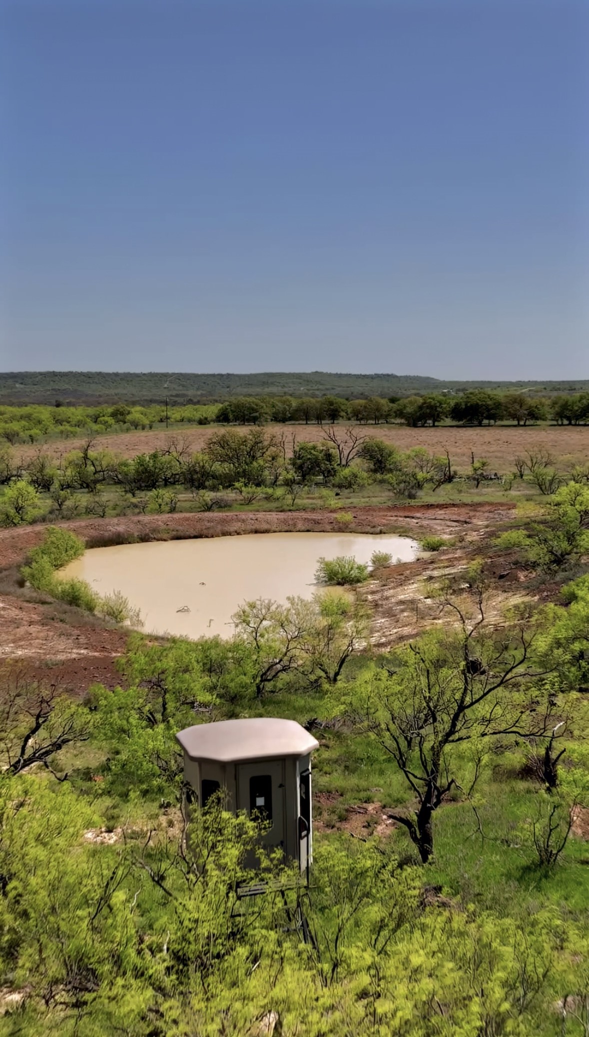 163 Campbell Lane Jacksboro TX 76458