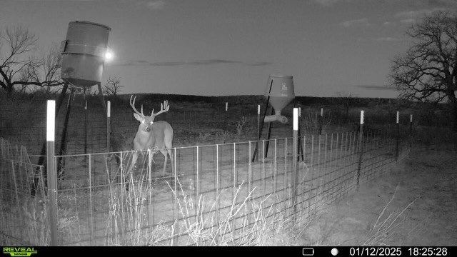 163 Campbell Lane Jacksboro TX 76458