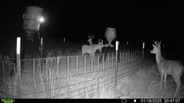 163 Campbell Lane Jacksboro TX 76458