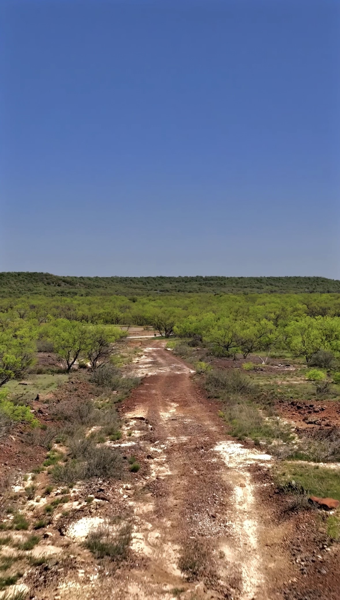 163 Campbell Lane Jacksboro TX 76458