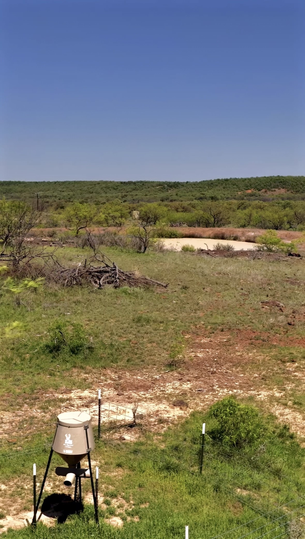 163 Campbell Lane Jacksboro TX 76458