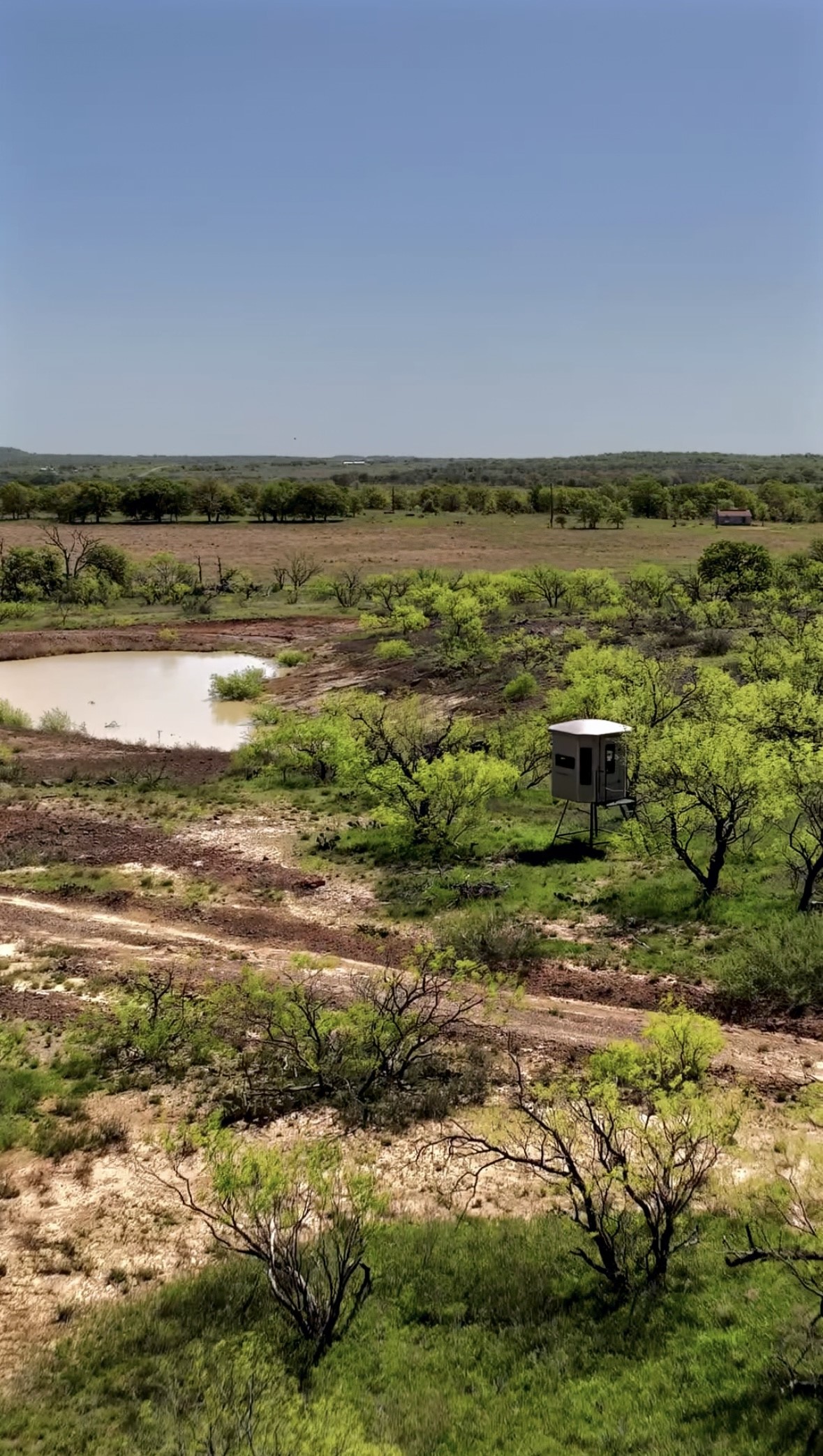 163 Campbell Lane Jacksboro TX 76458
