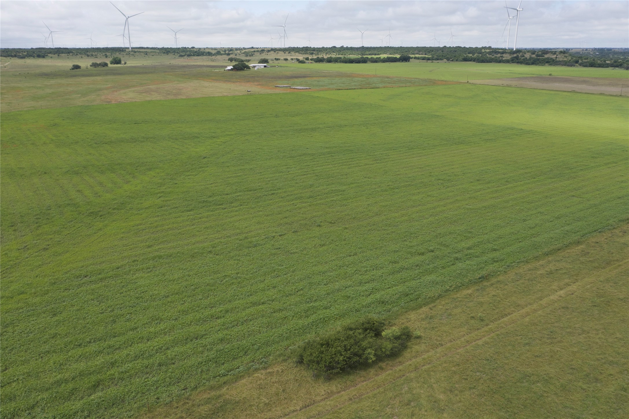 Tbd Cr 265 Priddy TX 76870