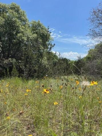 1065 Bluegill Ridge Bluff Dale TX 76433