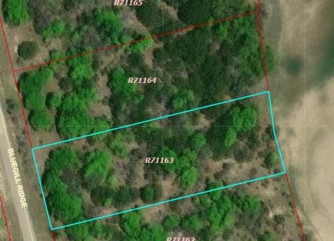 1065 Bluegill Ridge Bluff Dale TX 76433