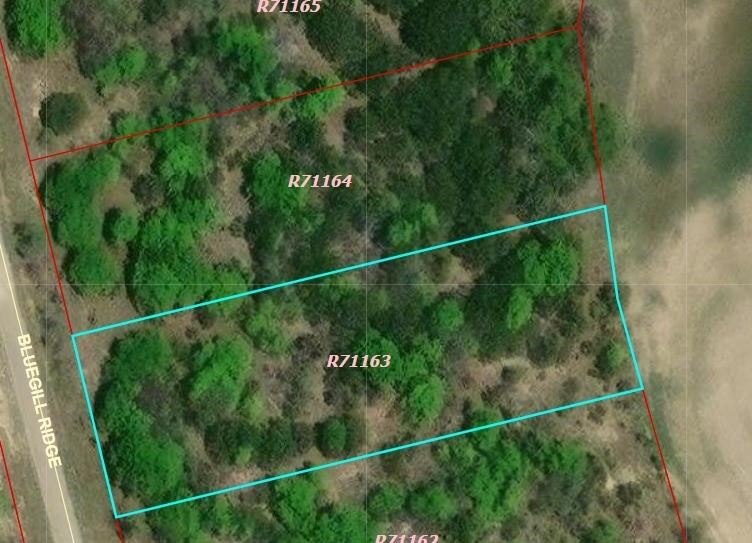 1065 Bluegill Ridge Bluff Dale TX 76433