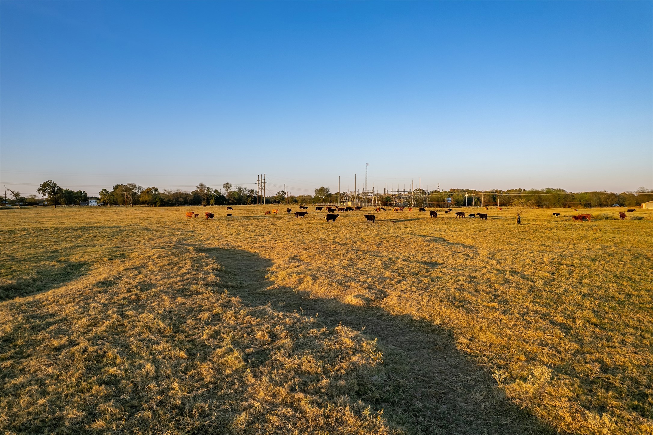 5081 154 Highway Yantis TX 75497