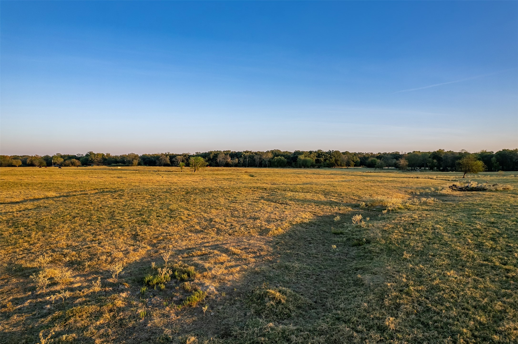 5081 154 Highway Yantis TX 75497