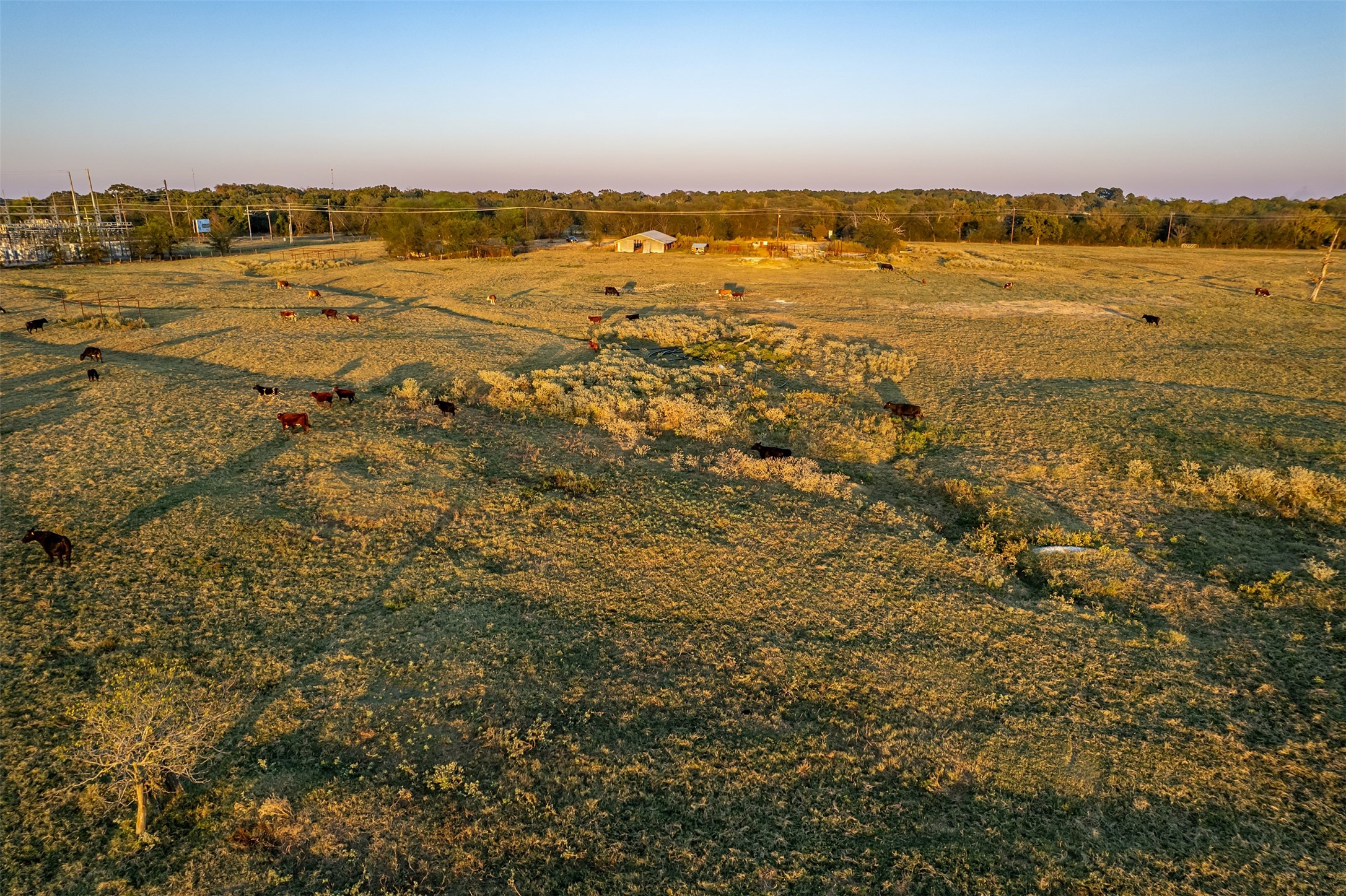 5081 154 Highway Yantis TX 75497