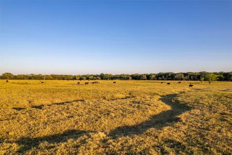 5081 154 Highway Yantis TX 75497
