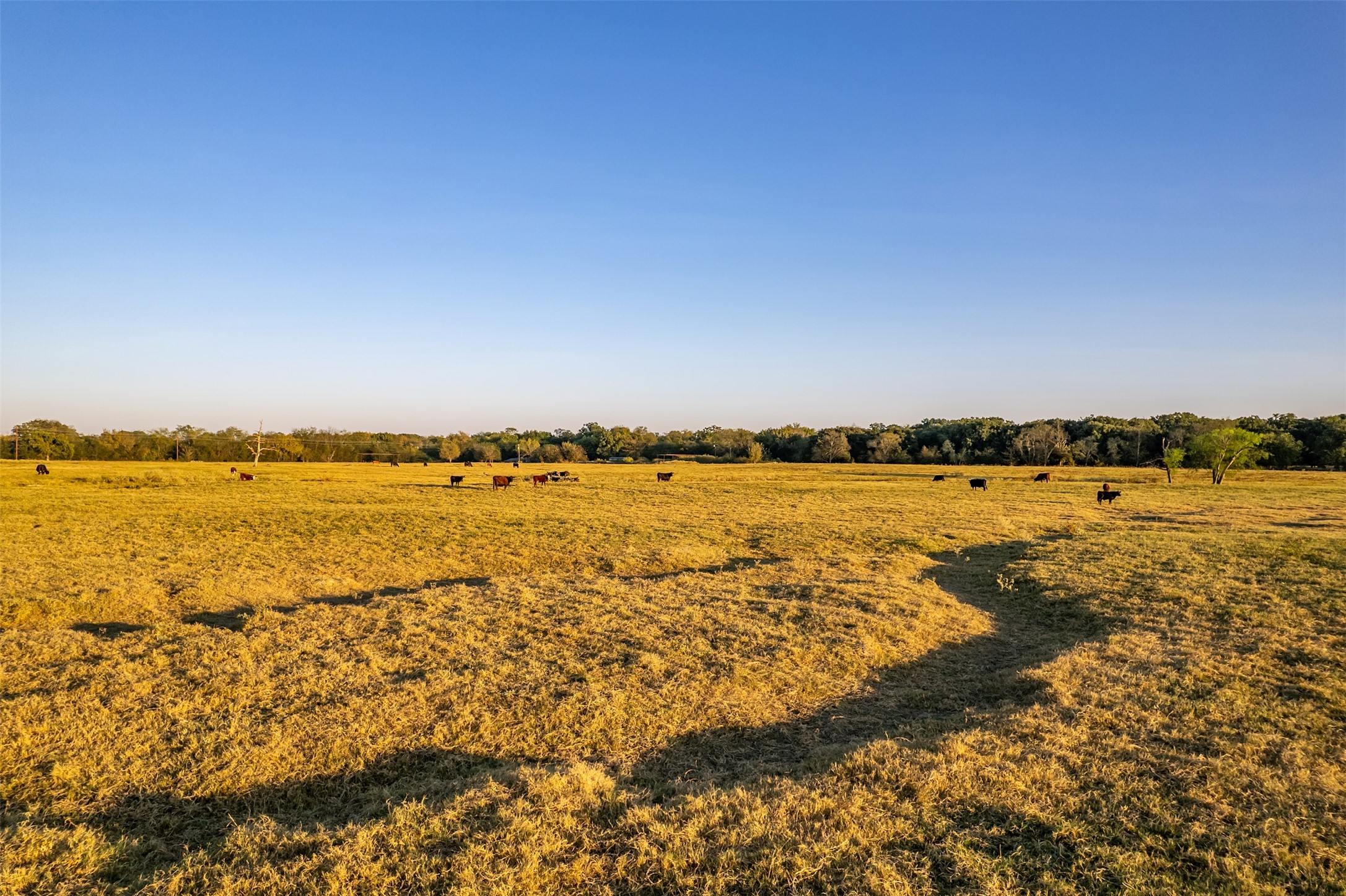 5081 154 Highway Yantis TX 75497