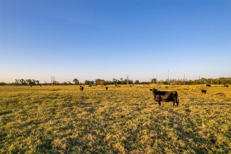 5081 154 Highway Yantis TX 75497