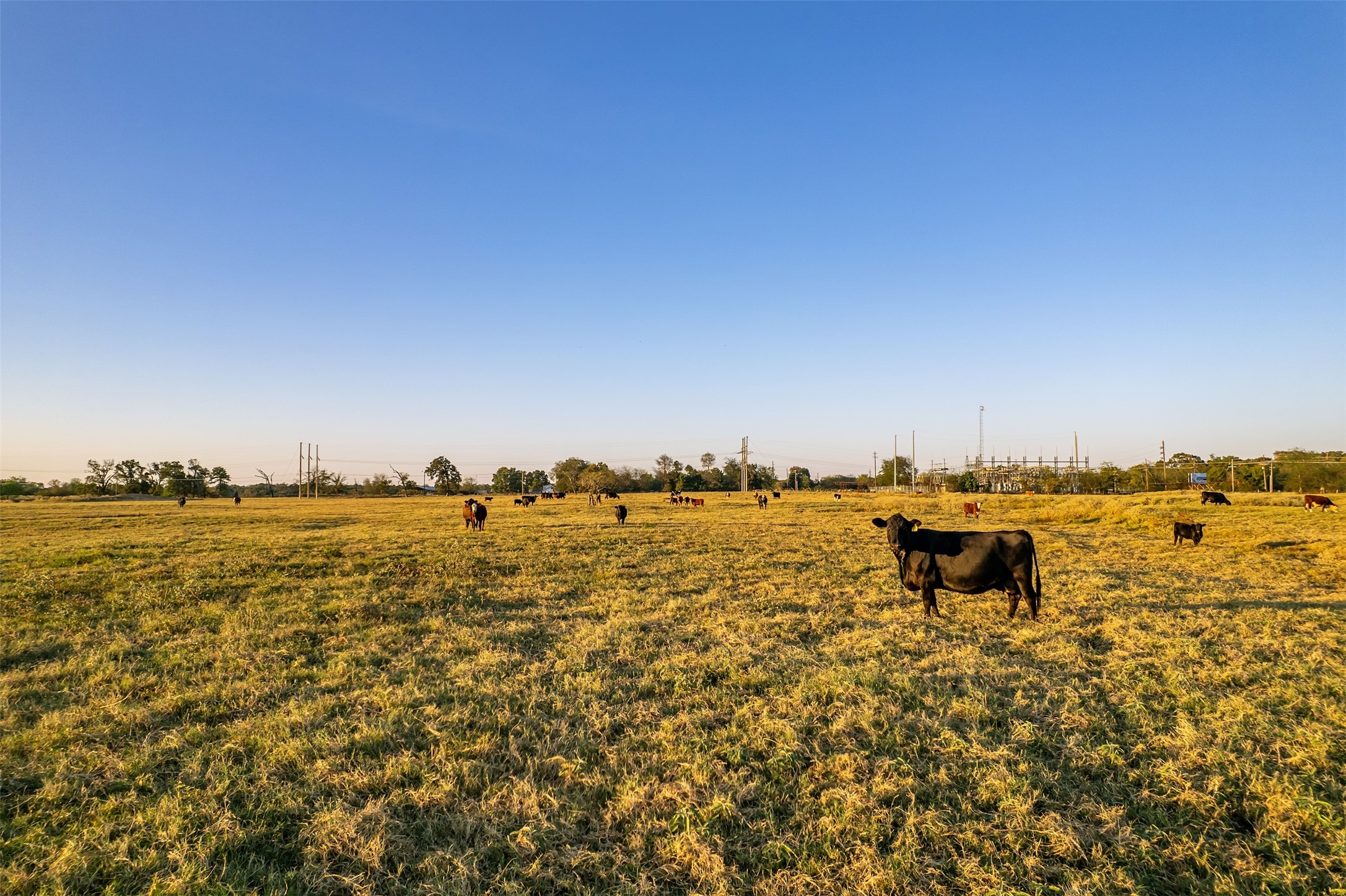 5081 154 Highway Yantis TX 75497