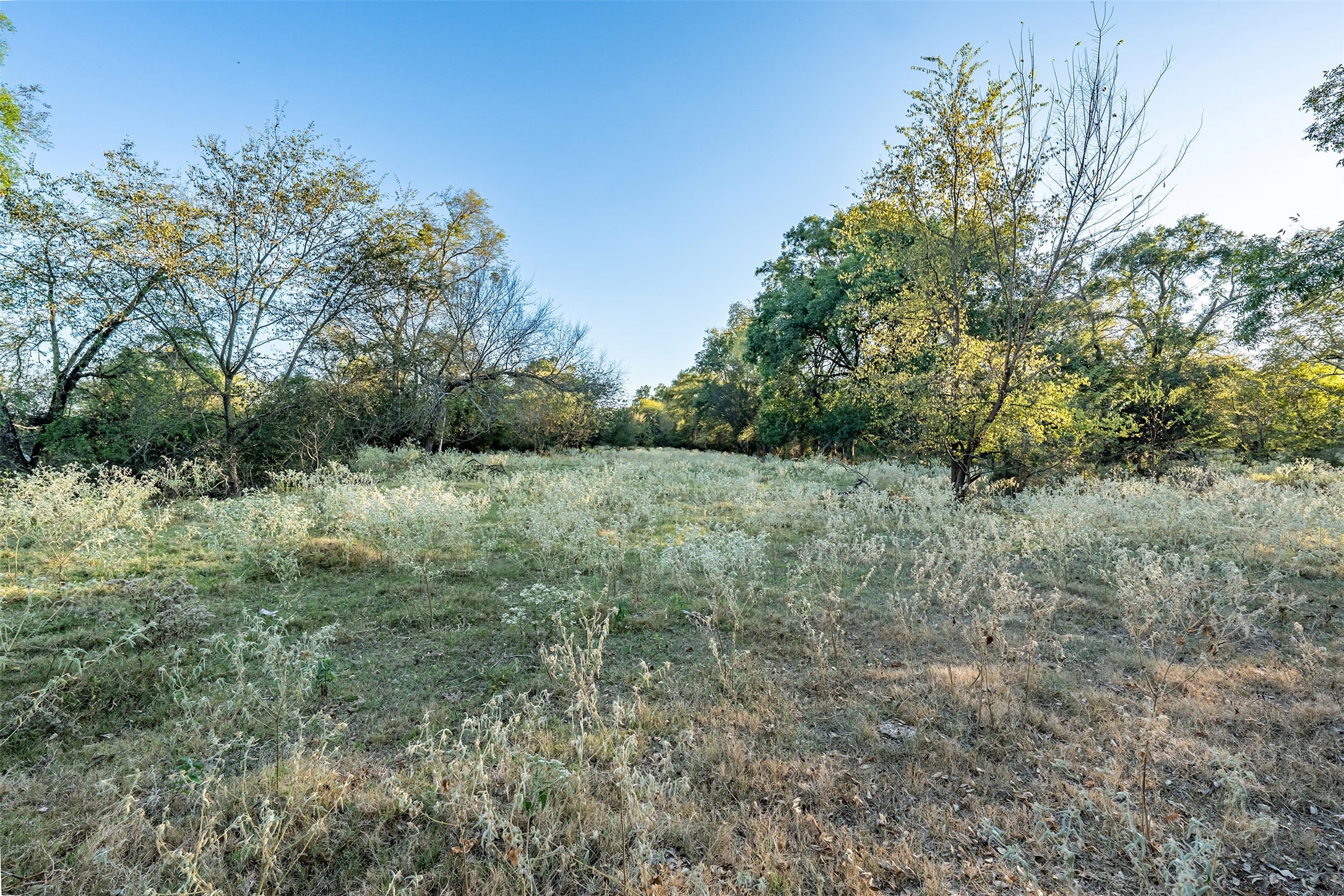 5081 154 Highway Yantis TX 75497