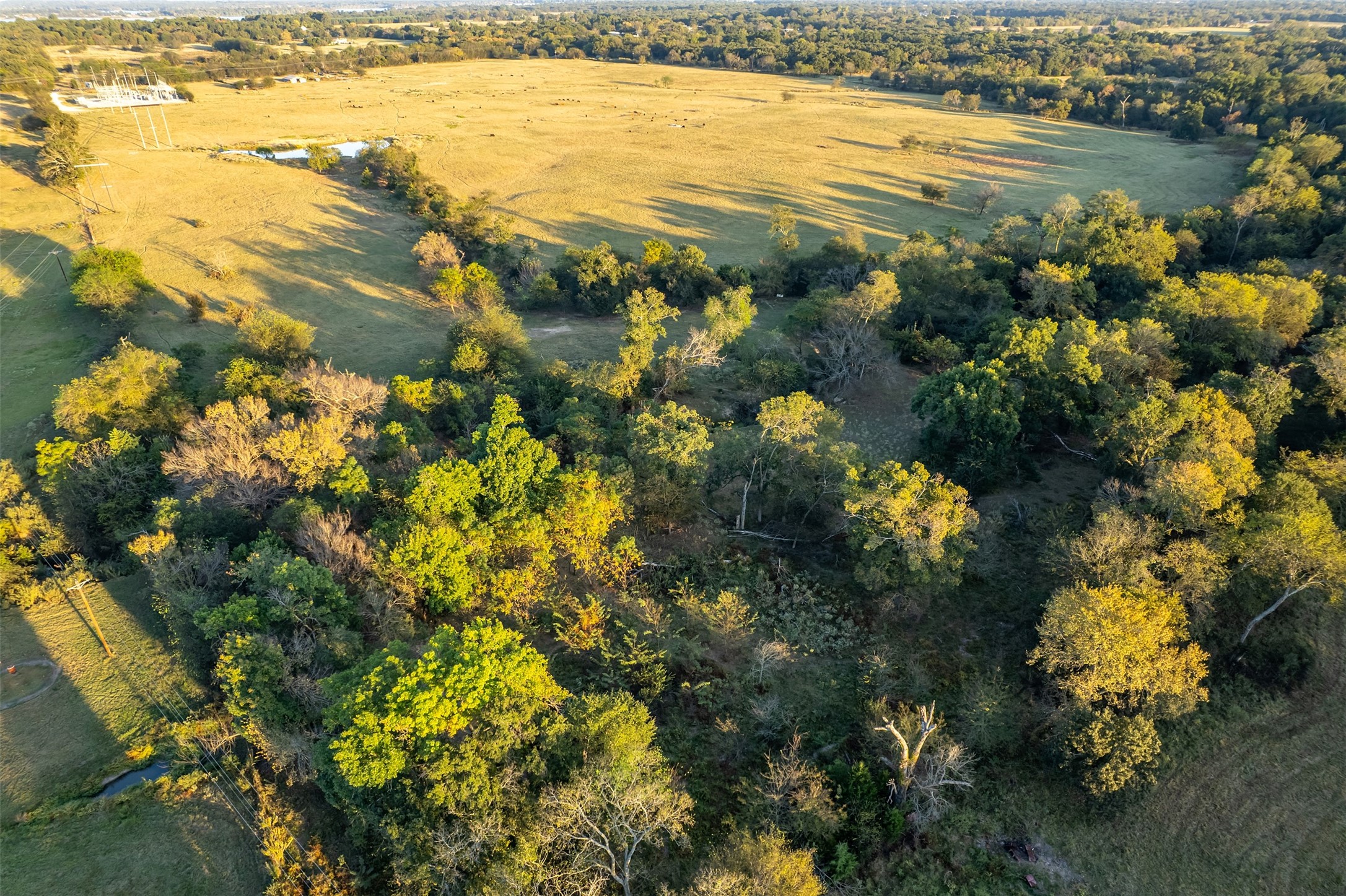 5081 154 Highway Yantis TX 75497