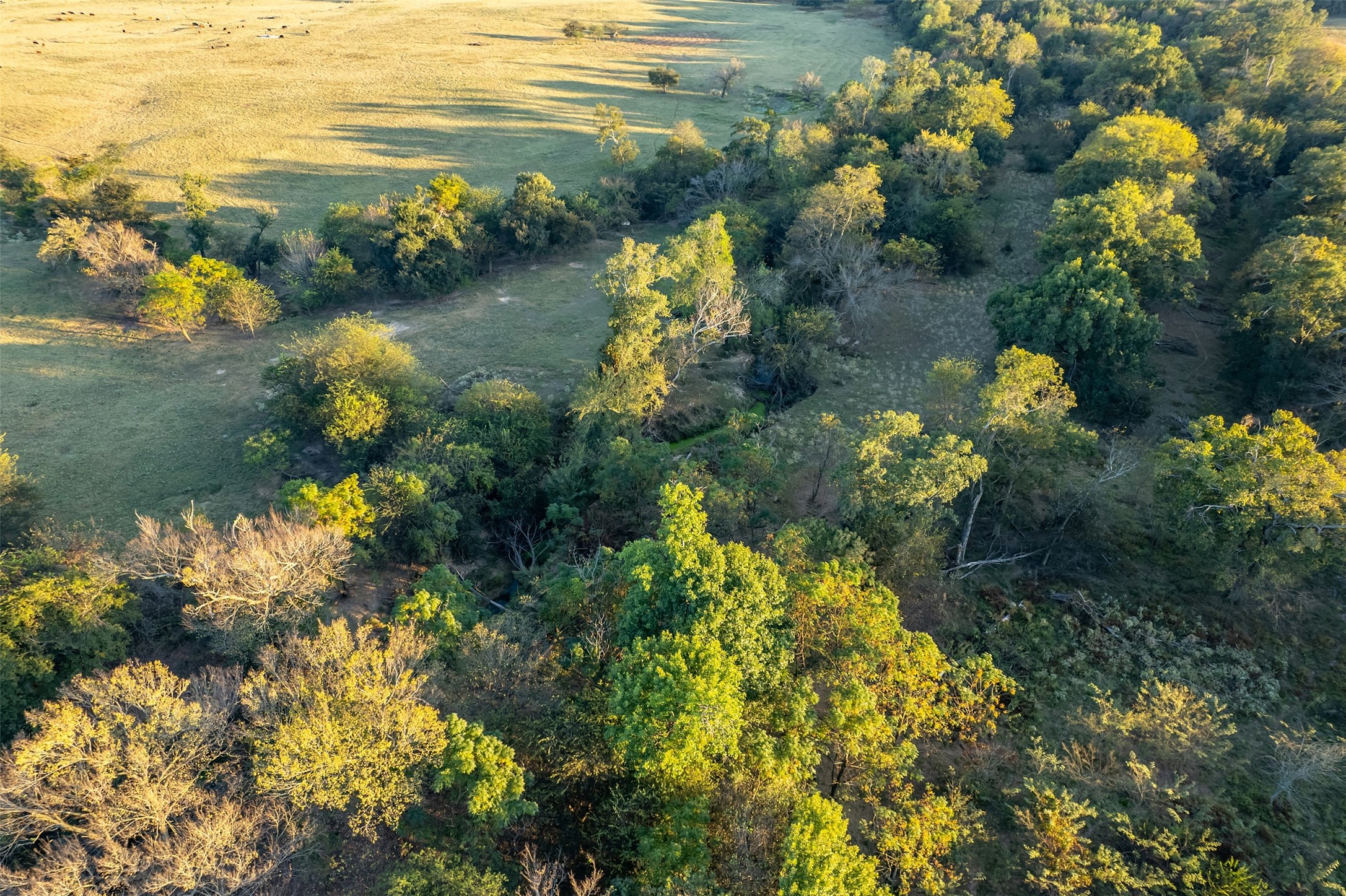 5081 154 Highway Yantis TX 75497