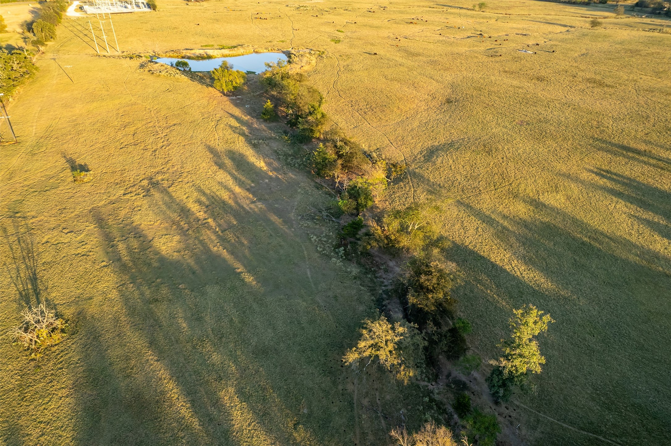 5081 154 Highway Yantis TX 75497