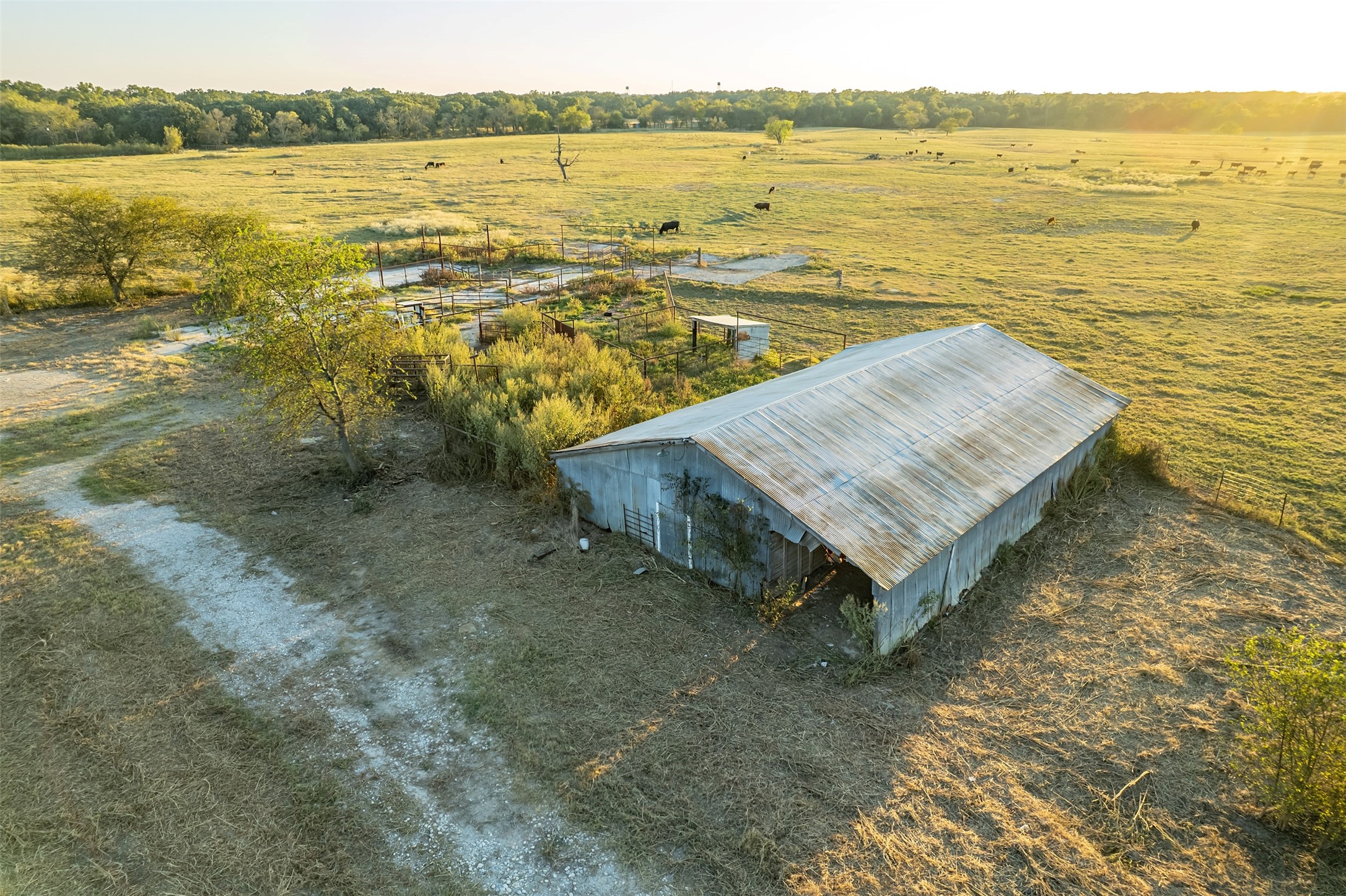 5081 154 Highway Yantis TX 75497