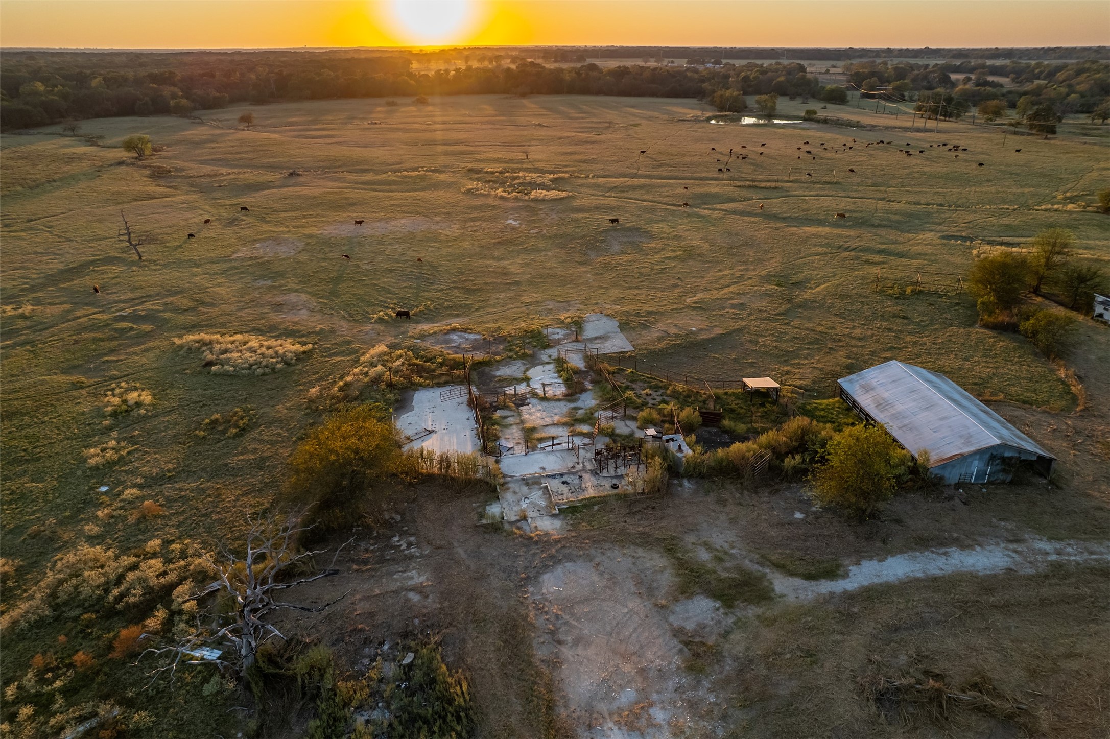 5081 154 Highway Yantis TX 75497