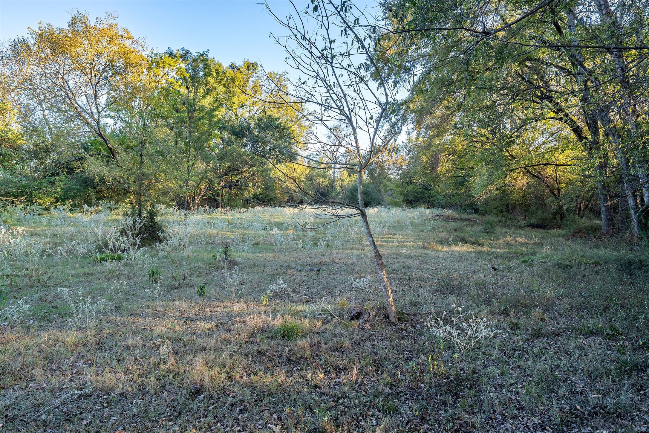 5081 154 Highway Yantis TX 75497